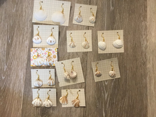 Seashell earrings